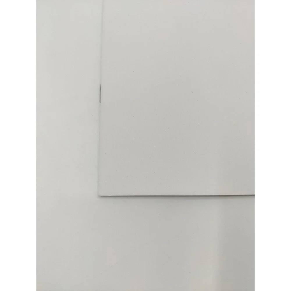 Absolute Catwoman 1 DC All In Blank Sketch Variant Scott Snyder Bengal 2024